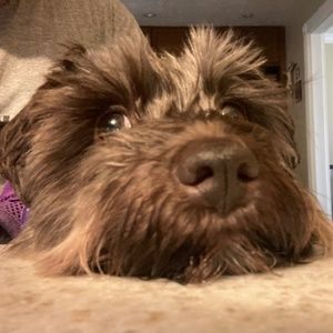 Meet your Posher, Mary